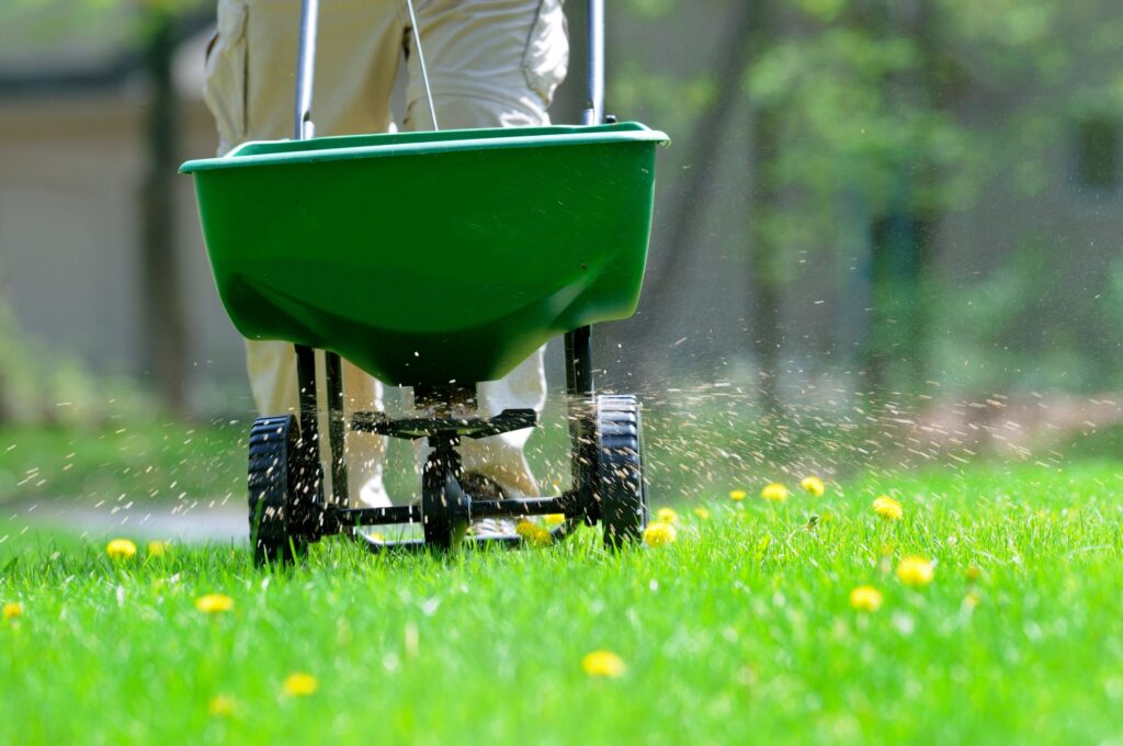 organic fertilizer lawn care