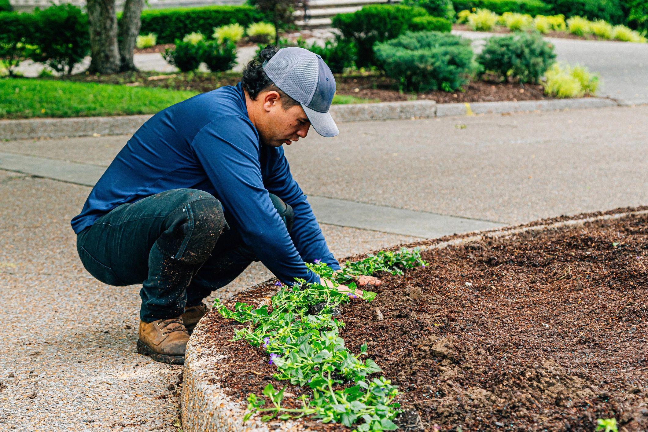 quiet landscaping service