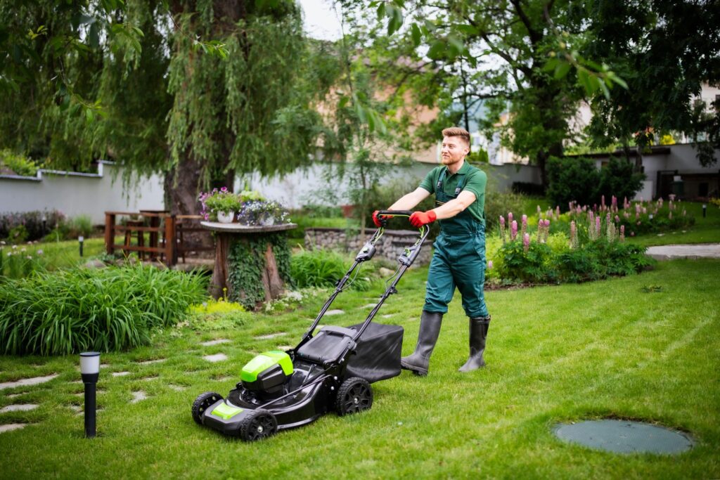 eco-friendly lawn care service