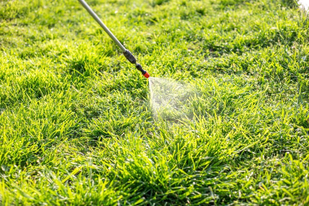 weed control lawn