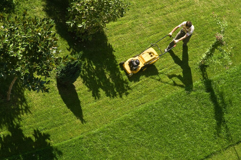 eco-friendly lawn care service
